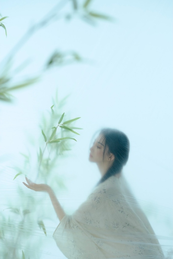 阿甘正传 封面
