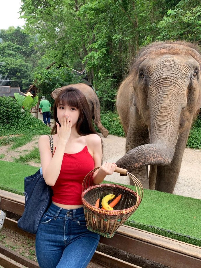 回到未来